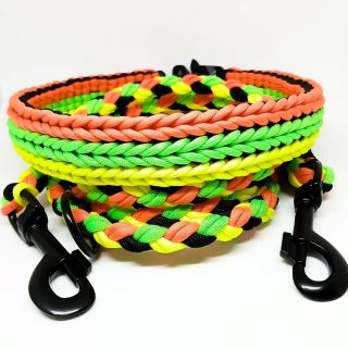 Tenhle setík je plný barev. 🤩 Krásná kombinace neonových barev v tomto parádním setu. 💚💛🧡 . . . #obojek #obojkyavodítka...