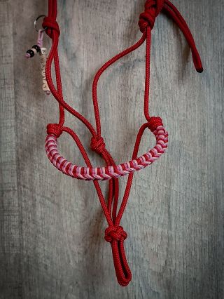 Krásná červená ohlávka pro kobylku Beauty. ❤️❤️❤️ Věděli jste, že si na našem e-shopu krom obojků a vodítek pro psy můžete...